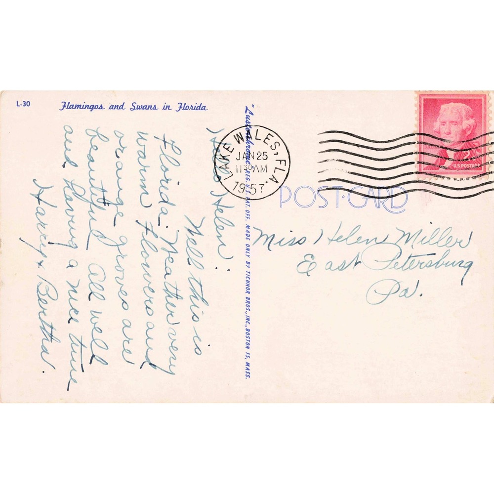 Vtg Florida Flamingos & Palm Trees Linen Postcard Tichnor L-30 Lustrechrome 1957 - Picture 2 of 2